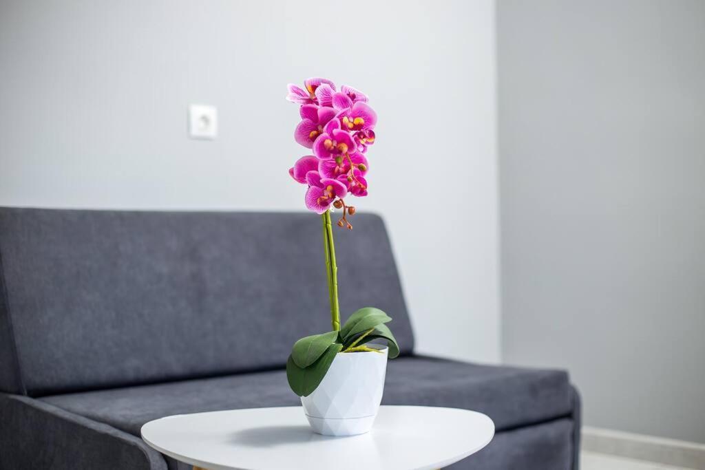 Rhodes City Pelagias Apartments מראה חיצוני תמונה